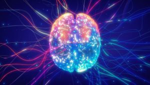digital brain connections, map of brain